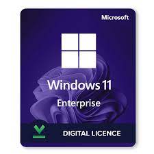 Windows 11 Entreprise